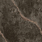 Hanoi Polished Golden Carving 60x120 Realistik фото в миниатюре