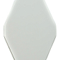 FTR-1025A керамика (100*200)100 плоская NSmosaic