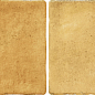 Bright Senape 10x20 Ribesalbes