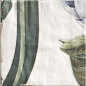 DECOR PROTEA 20x20 Mainzu