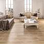 100339736 Tanzania Almond 23х150 Porcelanosa