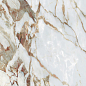 AGQ1 Cosmopolitan Arabescato Oro CP 03 6mm 120*278 Mirage