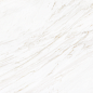 2601 Venato Soft Polished 60x120 Leopard