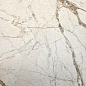 K958001R0001VTER SilverRoot Слоновая Кость Матовый R10A Ректификат 60x120 Vitra фото в миниатюре 5