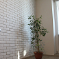 Кирпич классический Камтек