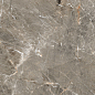 R_PR1023 Olympia Grey Polished 60x60 Royce