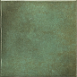 31566 Spa&Pools Moos Green 15x15 EQUIPE