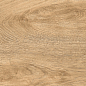 G-251/SR Italian Wood Honey 200x600x8 Grasaro