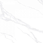 AB3116G Carrara Bianco 120x60 Absolut Gres