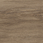 41729 Bloom Cognac SP/24x151x0,9/R 24x151 Peronda