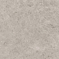 Seashell Natural R10 Carving 60x120 Gravita