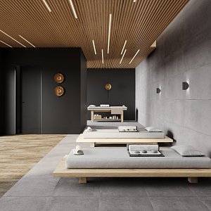 Betonica Grey PRO Laparet