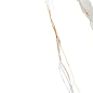 Venato Blanco PRO белый матовый R11Soft 60х60 Laparet
