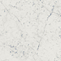 600010001978 Charme Extra Carrara 25x75 Italon