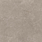 8163 Shell DG 60х60 Creto