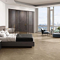 Soap Stone Cercom