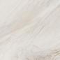 6060CAA01M Carolina Crema матовый 600x600x9.5 Delacora