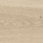 41732 Bloom Dune/24X151X0,9/A/R 24x151 Peronda фото в миниатюре 25