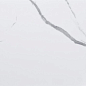 3097 Statuario Glacier Matt 60*120 Tile Kraft