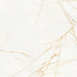 PF60017518 Supreme Hedonism Golden Spider Nat R 60x120 Flaviker