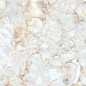 Wellington Polished Gold Carving 60x120 Realistik