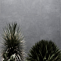 1214 Cementum Taupe Matt 9mm 120x60 Artcer фото в миниатюре 13