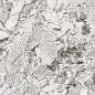 MN291AP321606 Pulm Blossom Polished 6mm 160x320 Moreroom Stone