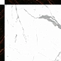 ST 0305 STATUARIO 60x60 Eurotile Ceramica