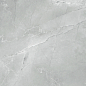 6060AMB15P Armani Marble Gray 60x60 LCM
