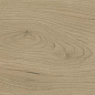 A840 Entice Ash Oak Natural R10 20x120 Atlas Concorde