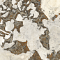610015000709 Magma Dover Tiger Cer Ret 80x160 Italon фото в миниатюре 3