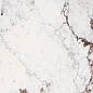 764059 Policroma Breccia Mat 6mm 60x120 Cedit