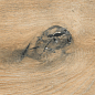 AB 1162W Wildwood Beige 1200x200 Absolut Gres
