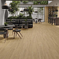 Dexter STN Ceramica