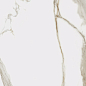 610010001411 Charme Evo Calacatta Nat Rett 60x120 Italon