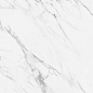 NTT99528P Artic statuario Glossy 60x120 NT Ceramic