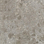 P6618 Grigio Luminoso Soft 60x60 Ariostea