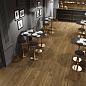Heartwood Atlas Concorde