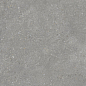 PT60F7047 Pietra Grey Matt 600x600x9 Protiles фото в миниатюре 2
