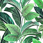 Showall White Leaf (set 2 pz) 120x120 Serenissima Cir