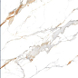 Delhi Polished Gold Carving 60x120 Realistik