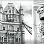 Monocolor Composicion London Calling C 15х22.5 Absolut Keramika