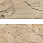 FI 1 Foliage Beige 20х80 Del Conca