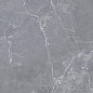 6FMD2254 Salvena Dark Grey Matt Rect 60х60 Persepolis Tile