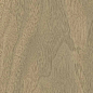 610010004068 Bormio Honey Ret 20x120 ColiseumGres фото в миниатюре 2