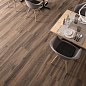 Barkwood White 20x120 Sant Agostino