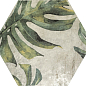 220973 Tropic Emerald (mix 26 models) 32x36.8 ZYX