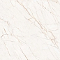 Astra 60x120 Realistik