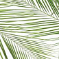 Панно Brennero Tropic (2) 50x75 Ceramika Konskie