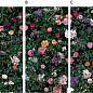 4100993 William 60x120 41ZERO42
